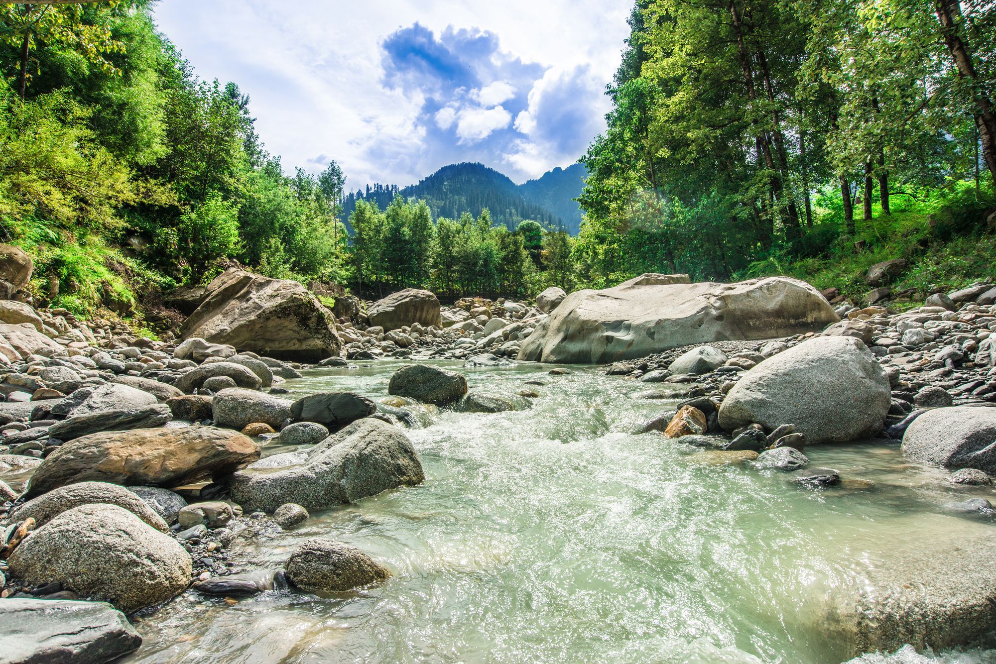 Solang Valley Resort Palchan ภายนอก รูปภาพ