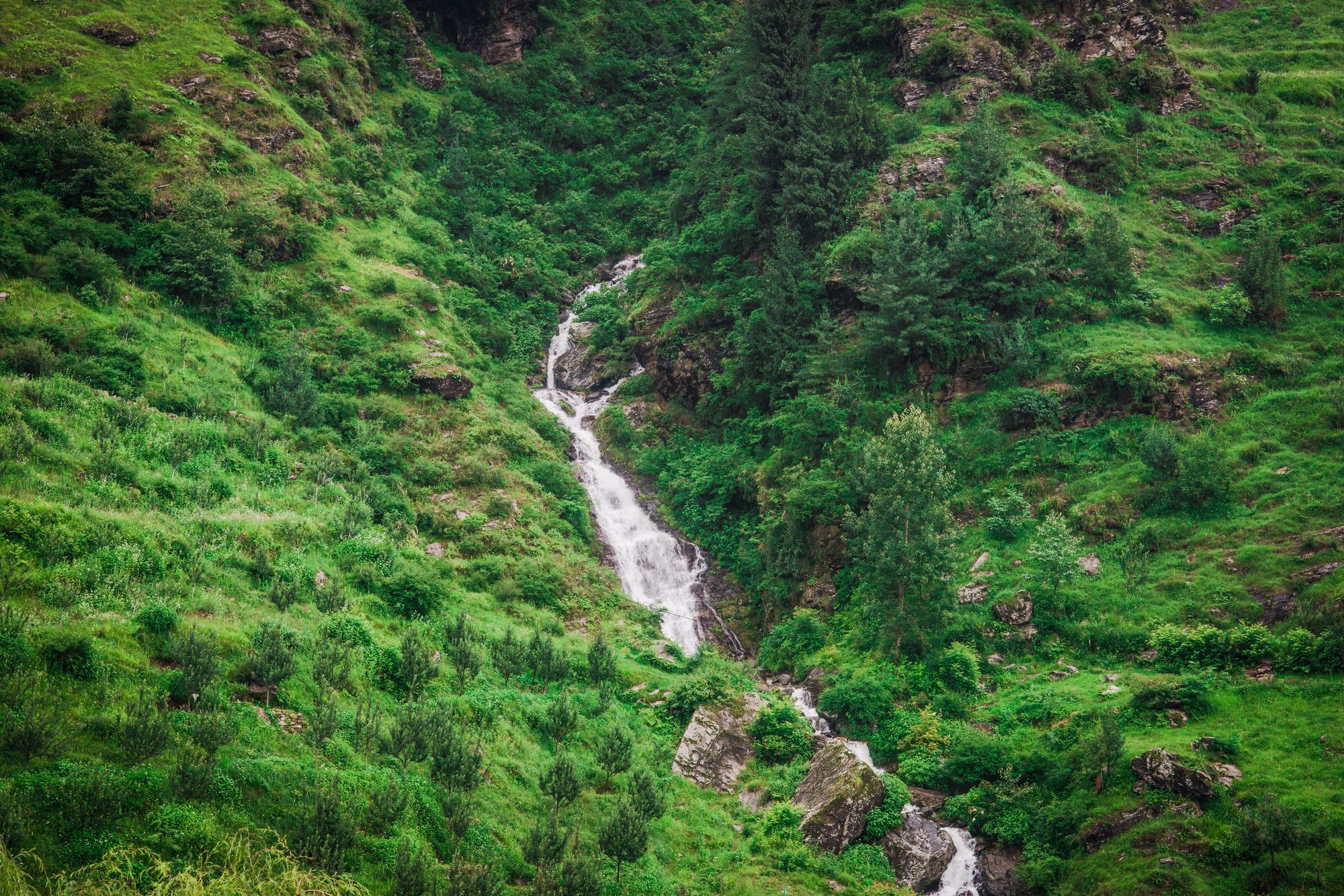 Solang Valley Resort Palchan ภายนอก รูปภาพ