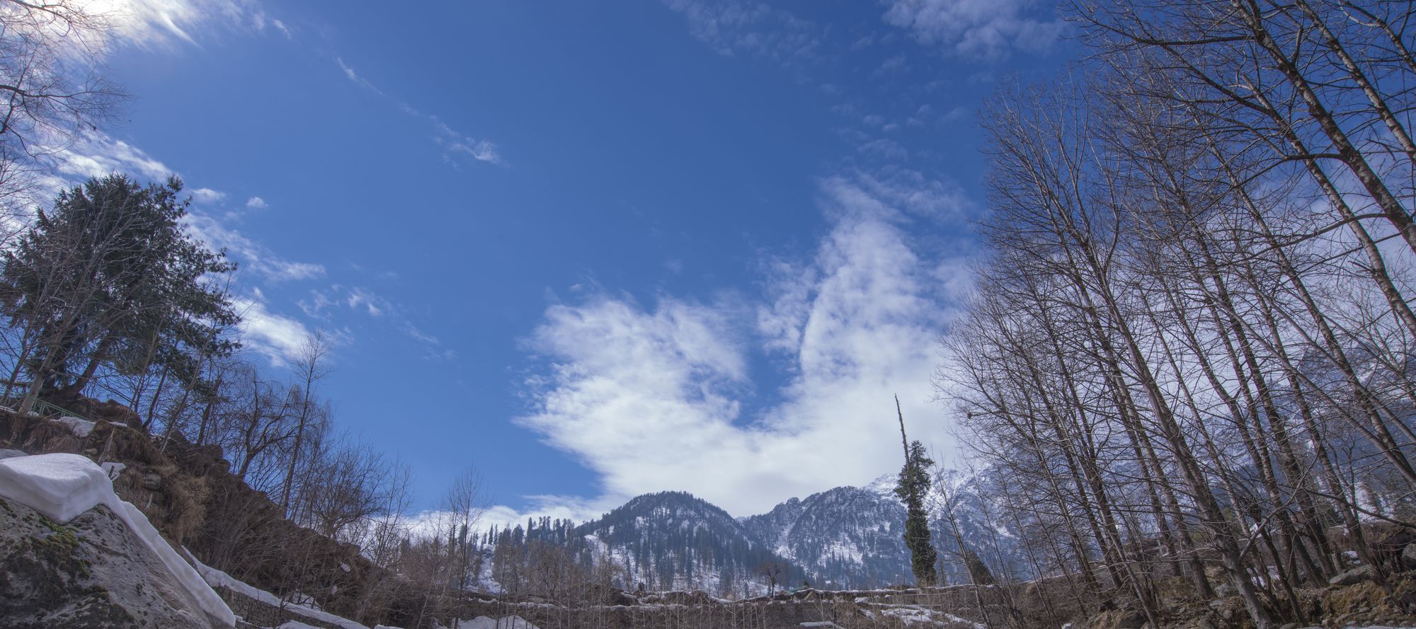 Solang Valley Resort Palchan ภายนอก รูปภาพ