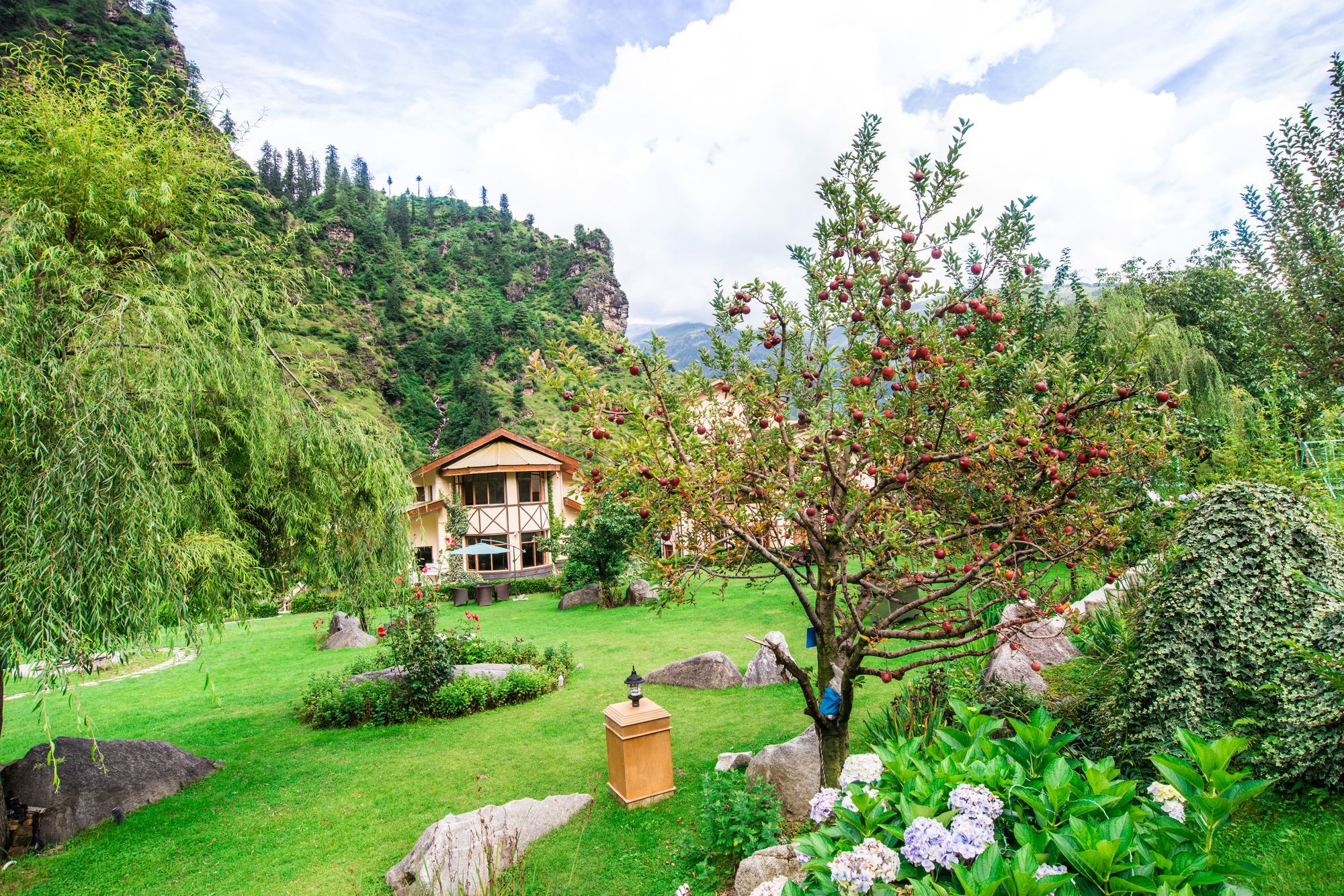 Solang Valley Resort Palchan ภายนอก รูปภาพ