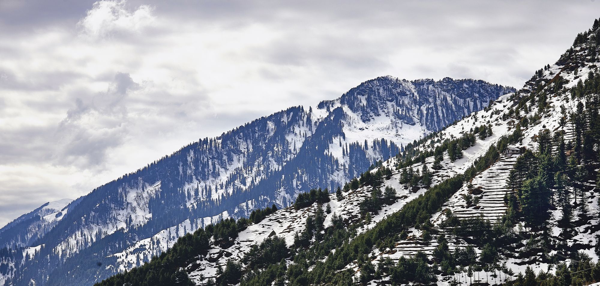 Solang Valley Resort Palchan ภายนอก รูปภาพ