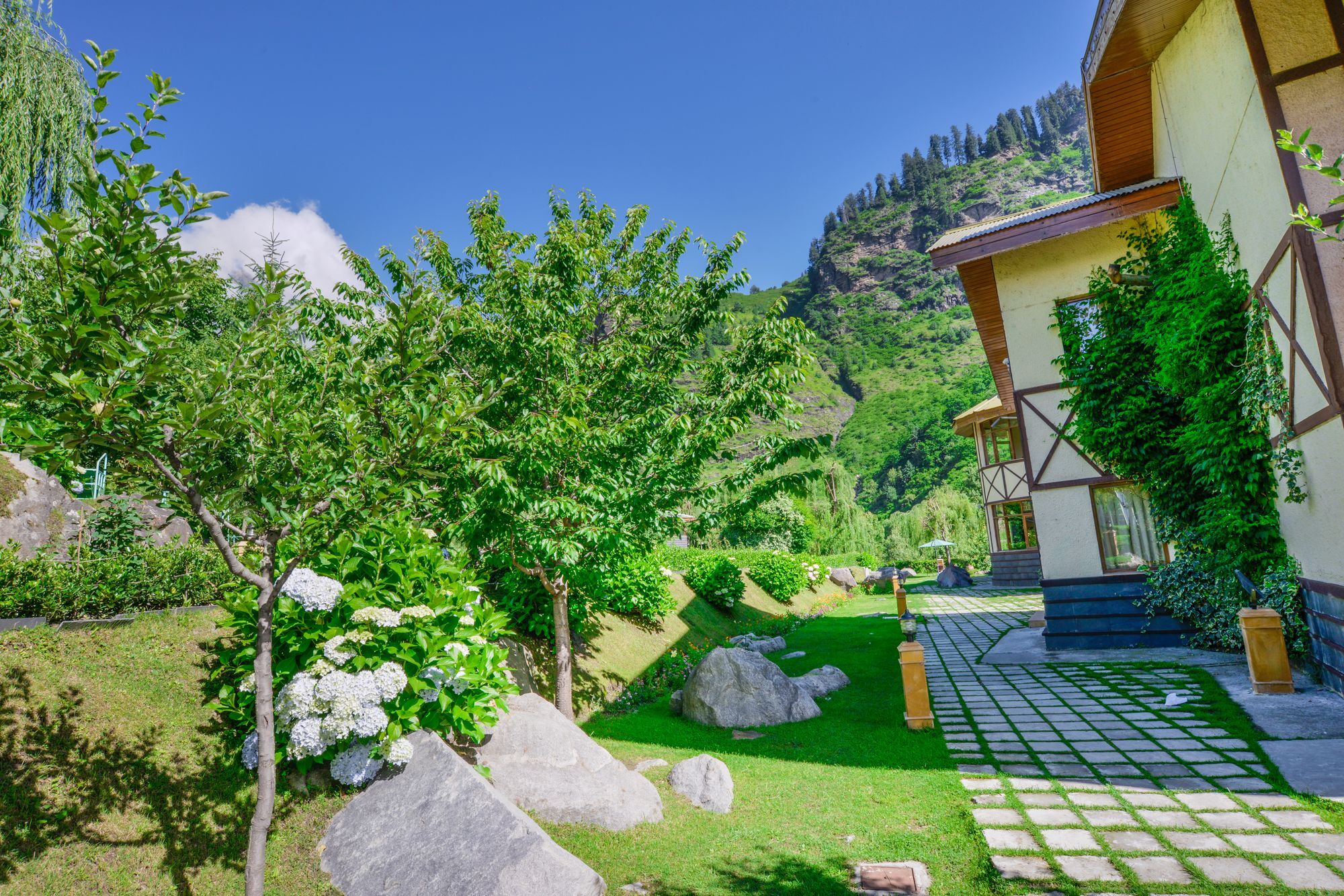 Solang Valley Resort Palchan ภายนอก รูปภาพ