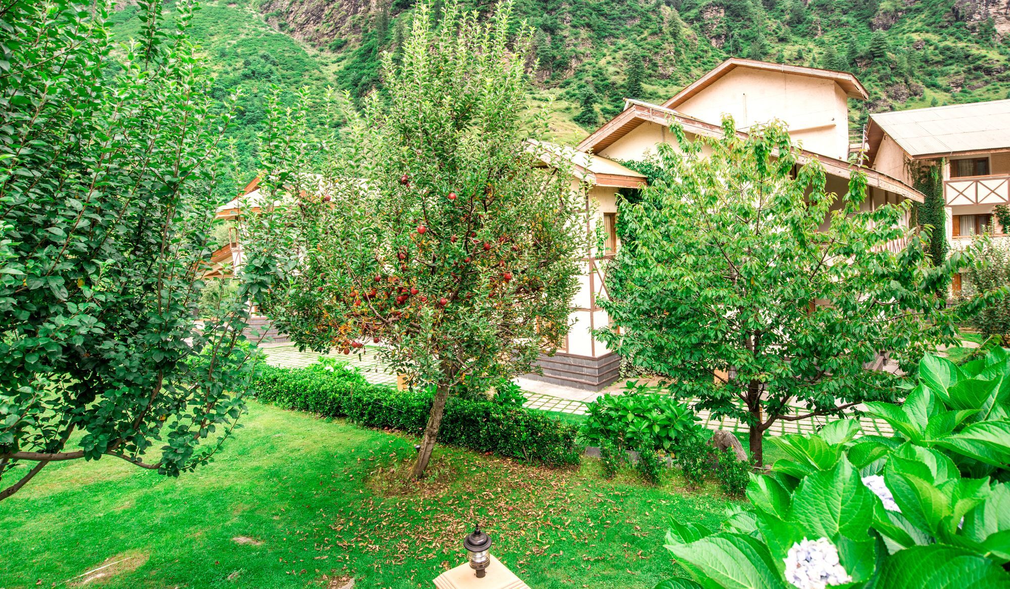 Solang Valley Resort Palchan ภายนอก รูปภาพ