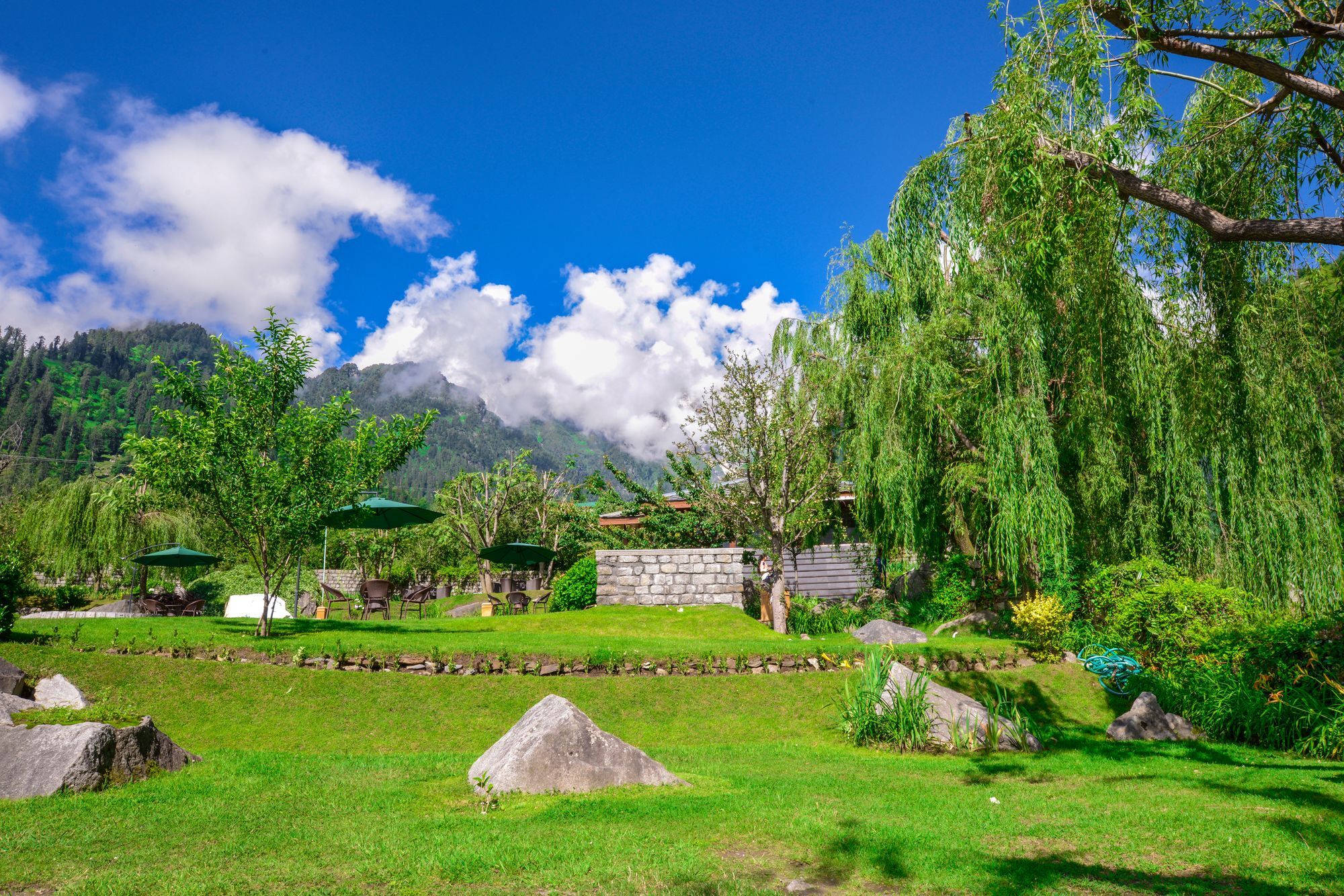 Solang Valley Resort Palchan ภายนอก รูปภาพ